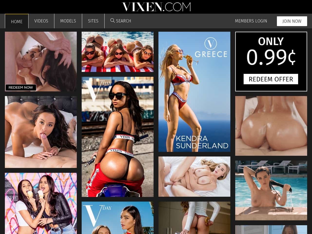 Vixen Porn Site - Vixen Â» Similar Premium Porn Sites at Reach Porn